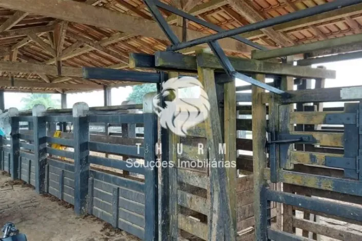 Fazenda Itabela Porto Seguro 640ha venda