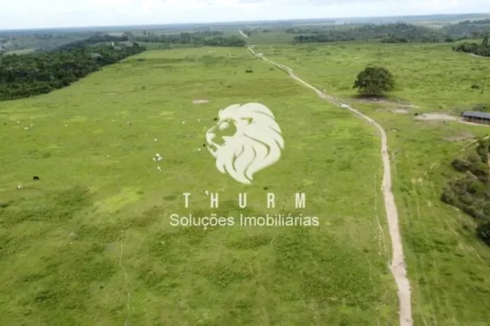 Fazenda Itamaraju 330ha venda