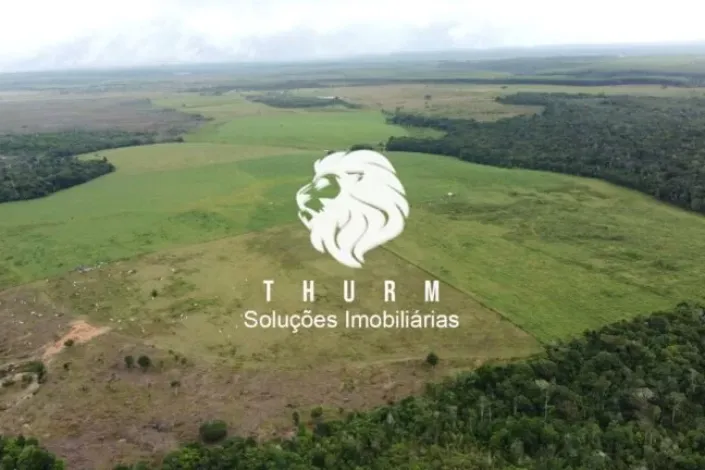 Fazenda em Porto Seguro 772ha venda