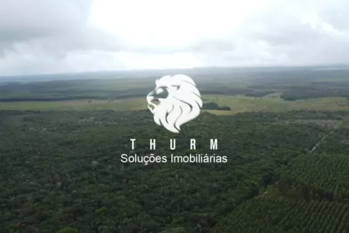 Fazenda em Porto Seguro 772ha venda