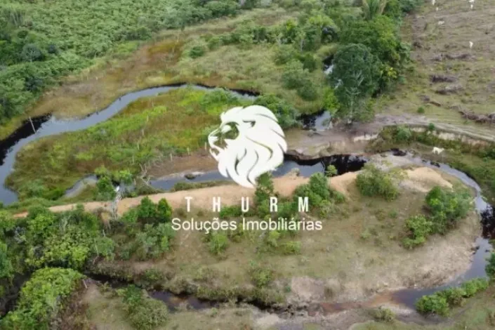 Fazenda em Porto Seguro 772ha venda