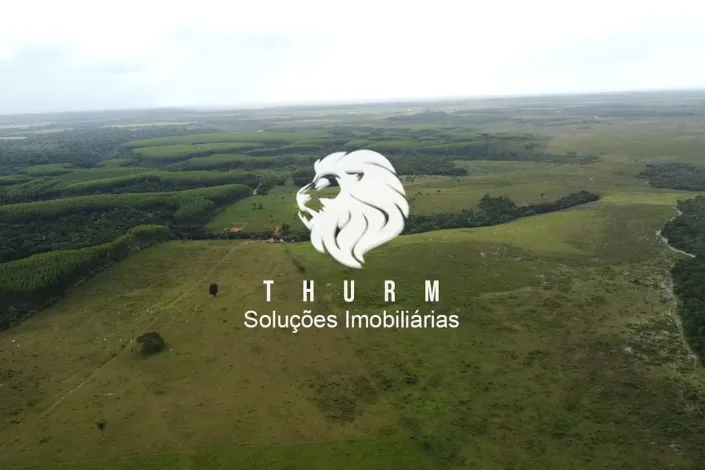 Fazenda em Porto Seguro 772ha venda