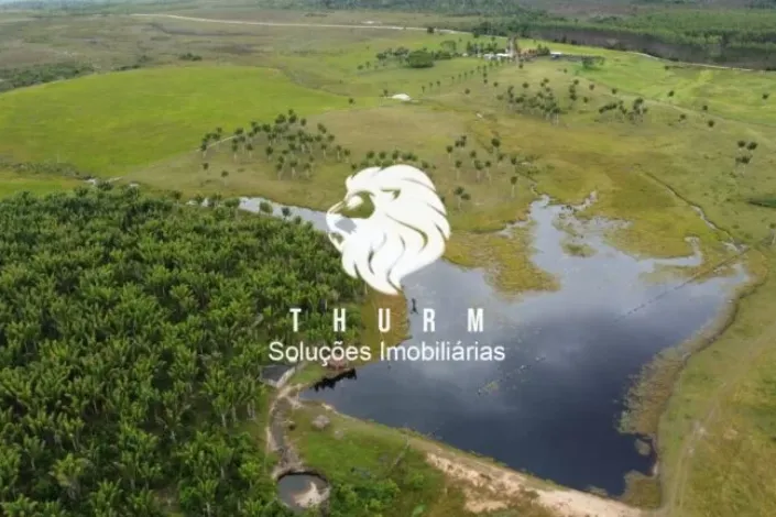 Fazenda em Porto Seguro 772ha venda