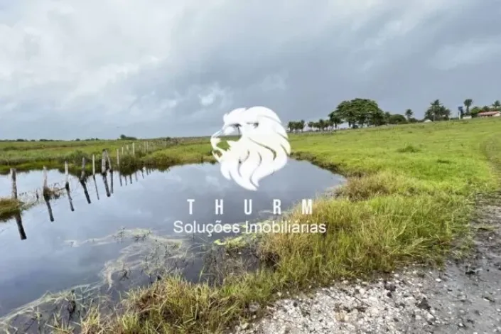 Fazenda em Porto Seguro 772ha venda