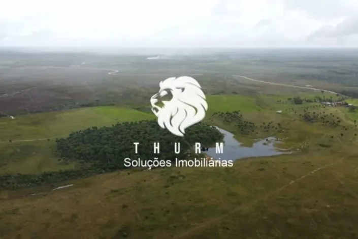 Fazenda em Porto Seguro 772ha venda