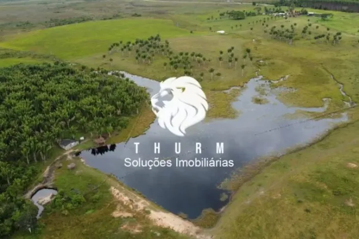 Fazenda em Porto Seguro 772ha venda