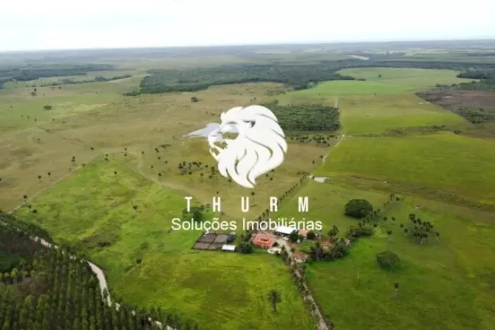 Fazenda em Porto Seguro 772ha venda