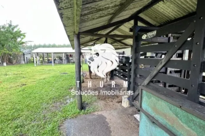 Fazenda em Porto Seguro 772ha venda