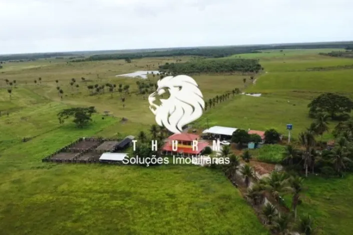 Fazenda em Porto Seguro 772ha venda