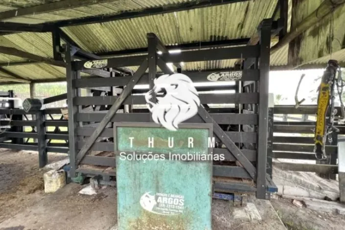 Fazenda em Porto Seguro 772ha venda