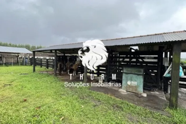 Fazenda em Porto Seguro 772ha venda