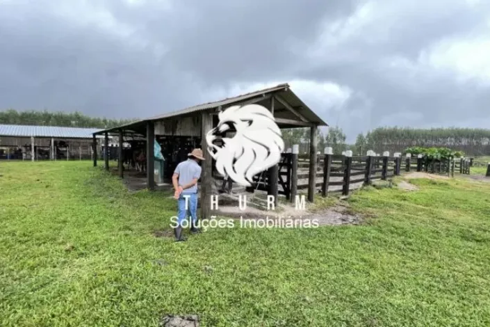 Fazenda em Porto Seguro 772ha venda