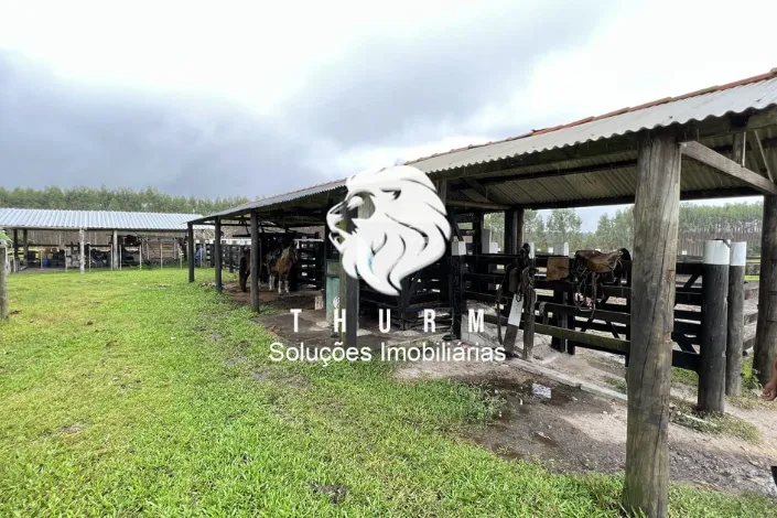 Fazenda em Porto Seguro 772ha venda