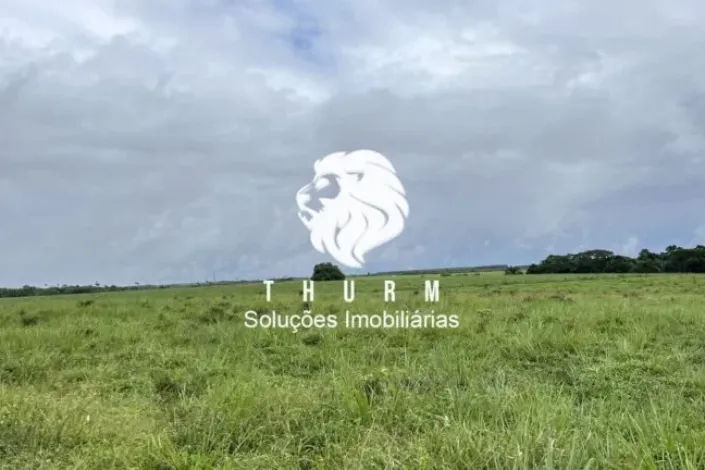 Fazenda em Porto Seguro 772ha venda