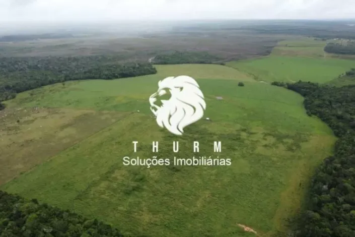 Fazenda em Porto Seguro 772ha venda