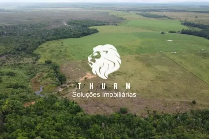 Fazenda em Porto Seguro 772ha venda